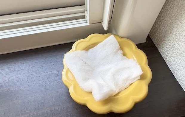 玄関に設置した画像（撮影：エニママ）
