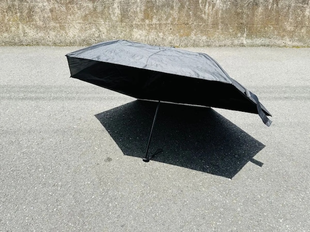 「770円とは思えないクオリティ」　ダイソーの晴雨兼用傘が優秀すぎる！
