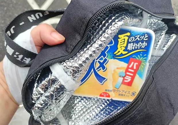 保冷バッグとアイスの写真（撮影：デジタル・コンテンツ・パブリッシング）