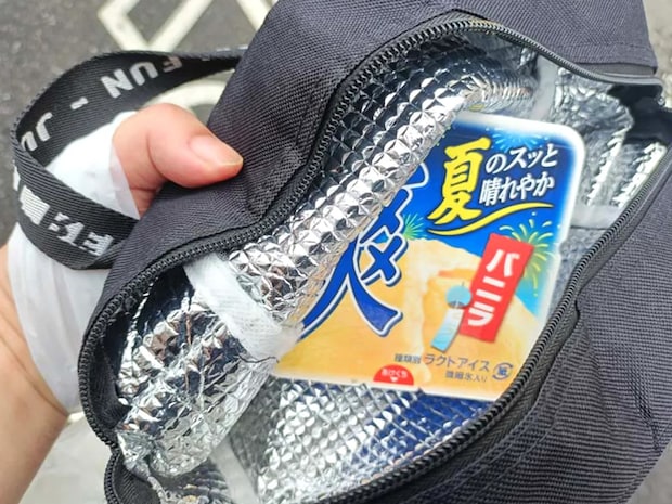 「アイスを溶かさずに持ち帰りたい」 ロッテに聞いたライフハックを試してみた!