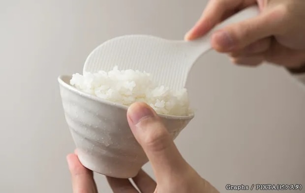 ご飯としゃもじの写真