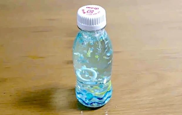 完成画像（撮影：エニママ）