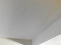 家の天井よく見たら『無数のシミ』　住宅のプロに『キケンなワケ』を聞いた