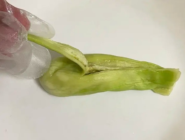 ナスを手で割く写真撮影：grapeフード編集部