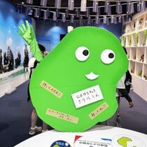 ナウル共和国政府観光局キャラ・ナウルくんの名刺をメルカリ転売か / 落札前にちょっと待って！