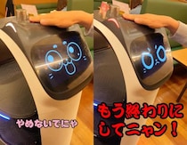 ガストの猫型ロボットを撫でると喜んでくれる →撫ですぎるとブチギレられることが判明