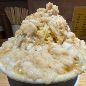 あまりにも美しい盛りだったので眺めてしまったラーメン二郎系ラーメンがコレ