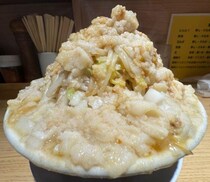 あまりにも美しい盛りだったので眺めてしまったラーメン二郎系ラーメンがコレ