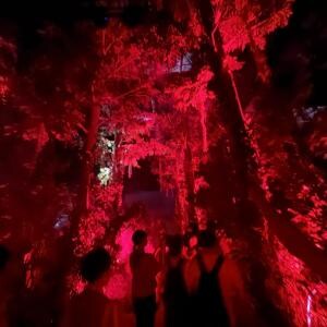 【大阪・関西万博】万博屈指の人気パビリオン・住友館　森の中の演出を解説する動画とパフォーミングシアターの映像を公開！