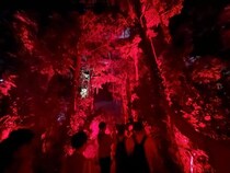 【大阪・関西万博】万博屈指の人気パビリオン・住友館　森の中の演出を解説する動画とパフォーミングシアターの映像を公開！