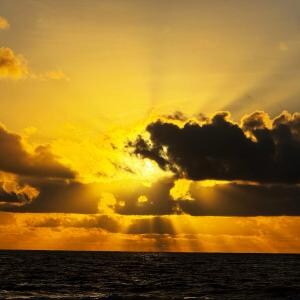 【ナウル共和国】日本から飛行機に乗ってナウル島に行ってみた / ナウルへの行き方