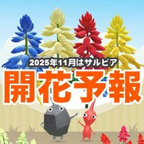 『ピクミン ブルーム』サルビアは900種類!? 健康と安全をピクミンと願う2025年11月の開花予報第1報ガイド【プレイログ#1038】