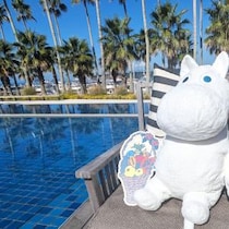 ムーミン谷の休日が湘南に。クルージングも楽しめる秋の贅沢バカンス【リビエラ逗子マリーナ】