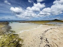 【ナウル島】8Kカメラで撮影するナウル共和国 / 赤道直下の海編