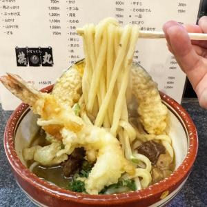 【うどん県】夜しか営業しない高松の激レアうどん店「鶴丸」で名物カレーうどんを食べる