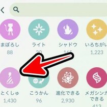 ワイルドエリアを全力で楽しむにはボックス整理が必須 / 1000枠以上の余裕を作る整頓術【ポケモンGO】