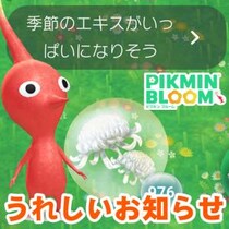 『ピクミン ブルーム』溢れず使えて超便利!! 季節のエキスを無駄なく管理できるようになった通知機能リポート【プレイログ#1052】