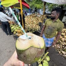 インドの路上でココナッツ飲んでみるか→ ナチュラルピュアテイスト100％なのよン→ 飲んで食べた結果