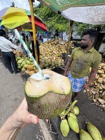 インドの路上でココナッツ飲んでみるか→ ナチュラルピュアテイスト100％なのよン→ 飲んで食べた結果