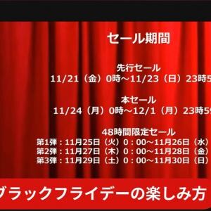 いよいよ本セール開始のAmazon ブラックフライデー ガジェ通編集部が注目商品をひたすらチェックしたライブ配信を振り返り