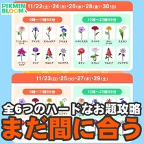 『ピクミン ブルーム』閉幕目前!! 一石三鳥で花びらを集めるための4周年記念イベント開花サイクルガイド【プレイログ#1060】
