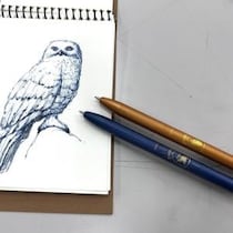 ゼブラ初のハリーポッターコラボ！  ジェルボールペン「サラサクリップ」「サラサグランド」をプロ画家が使ってみた