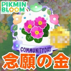 『ピクミン ブルーム』遅咲きの金ゲット!! 2つの証を手に入れた今年最後のコミュニティ・デイリポート【プレイログ#1072】