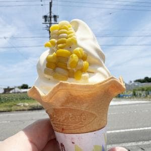 【美味スイーツ】静岡県でトップレベルのおいしいソフトクリームが食べられる秘密の店 / 牧之原市片浜の「もろこし屋せんちゃん」