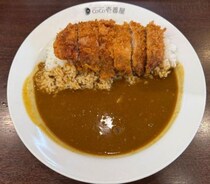 CoCo壱番屋の期間限定メニュー！「手仕込豚ヒレカツカレー」を食べてみた