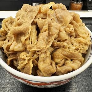 吉野家の牛丼をいちばん美味しく食べる方法が見つかった件
