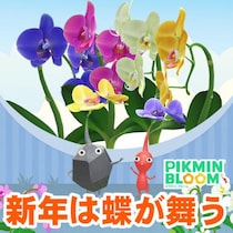『ピクミン ブルーム』幸福が舞い込む予感!? コチョウランが開花する2026年1月の開花予報ガイド【プレイログ#1077】