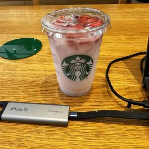 超高速1000MB/秒の超小型外付けSSDが最高すぎた / 絶対にデータ無くしたくない勢の必須品