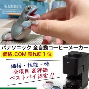 カエルがだいすき、カエルの魅力を伝えていく『ぴよのカエルch』、スペシャルティコーヒー専門の焙煎所『Nif Coffee』を紹介! 週刊チャンネルウォッチ 9/19号