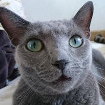 配慮してデリケートゾーンと表現する行為 / 世の中の配慮やモラルが人を苦しめてる可能性