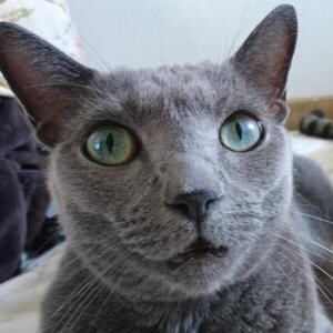 配慮してデリケートゾーンと表現する行為 / 世の中の配慮やモラルが人を苦しめてる可能性