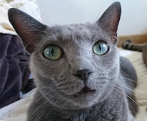 配慮してデリケートゾーンと表現する行為 / 世の中の配慮やモラルが人を苦しめてる可能性