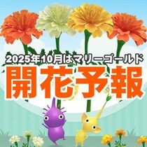 『ピクミン ブルーム』愛と嫉妬が入り乱れ!? マリーゴールドが初登場する2025年10月の開花予報第1報ガイド【プレイログ#1020】