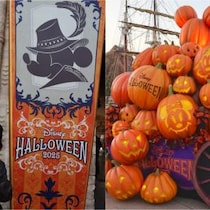 綺麗で妖しい魅力　東京ディズニーシーのハロウィーンデコレーションをご紹介！：夢と魔法に魅せられたミキ’s TODAY Vol.80