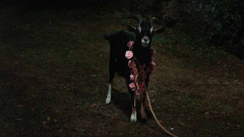 『FRÉWAKA／フレワカ』場面写真