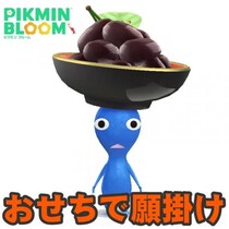 『ピクミン ブルーム』新年初抜き!! お正月気分もあっという間だったおせちイベント進捗リポート【プレイログ#1082】