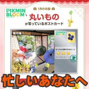 『ピクミン ブルーム』iOS14サポート終了!! フレンド上限解放＆SNS新企画も始まった された最新情報ガイド【プレイログ#1083】