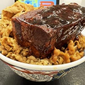 あまりにも巨大すぎてAI画像だと思われた吉野家の角煮がこちらです