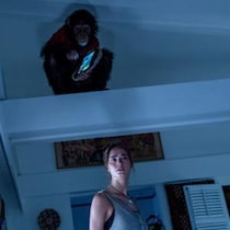 「ベン、どうしたの……？」　全米スマッシュヒットのチンパンジー豹変スリラー『おさるのベン』、違和感を凝縮したTVCM解禁［ホラー通信］