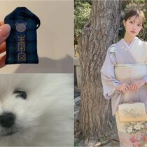 神戸・生田神社で初詣と厄祓い　「ファミリア」とのコラボお守りを愛犬へ