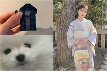 神戸・生田神社で初詣と厄祓い　「ファミリア」とのコラボお守りを愛犬へ