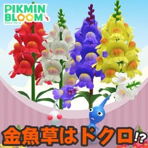 『ピクミン ブルーム』おしゃべりで上品!? キンギョソウが開花する2026年2月の最新環境ガイド【プレイログ#1090】