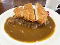 静岡人に聞きたいのだが静岡県はカツカレーを食べに行く所という事でオーケーかな