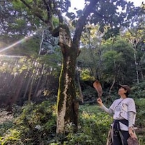 【相模原市】都会に疲れた！気軽に森林浴ができる「つちざわの森」で週末ヒーリング