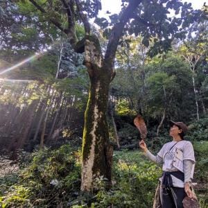 【相模原市】都会に疲れた！気軽に森林浴ができる「つちざわの森」で週末ヒーリング