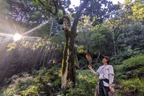 【相模原市】都会に疲れた！気軽に森林浴ができる「つちざわの森」で週末ヒーリング